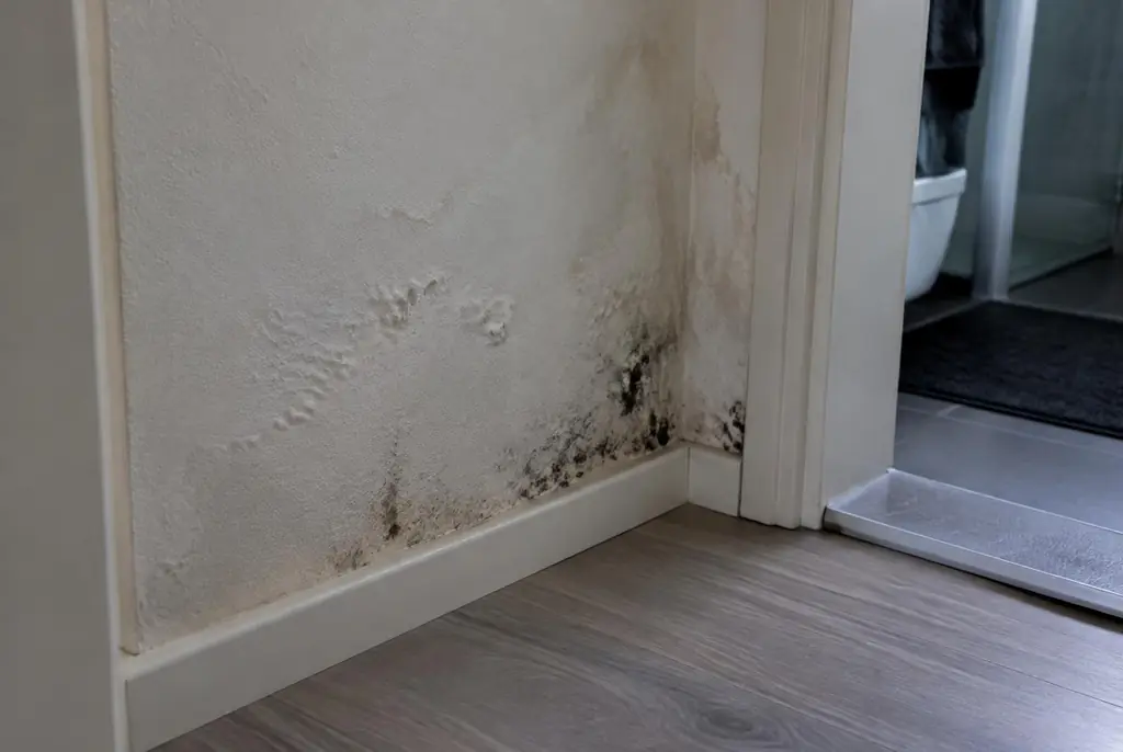 Lekdetectie Weesp – vochtplek met schimmel op een muur